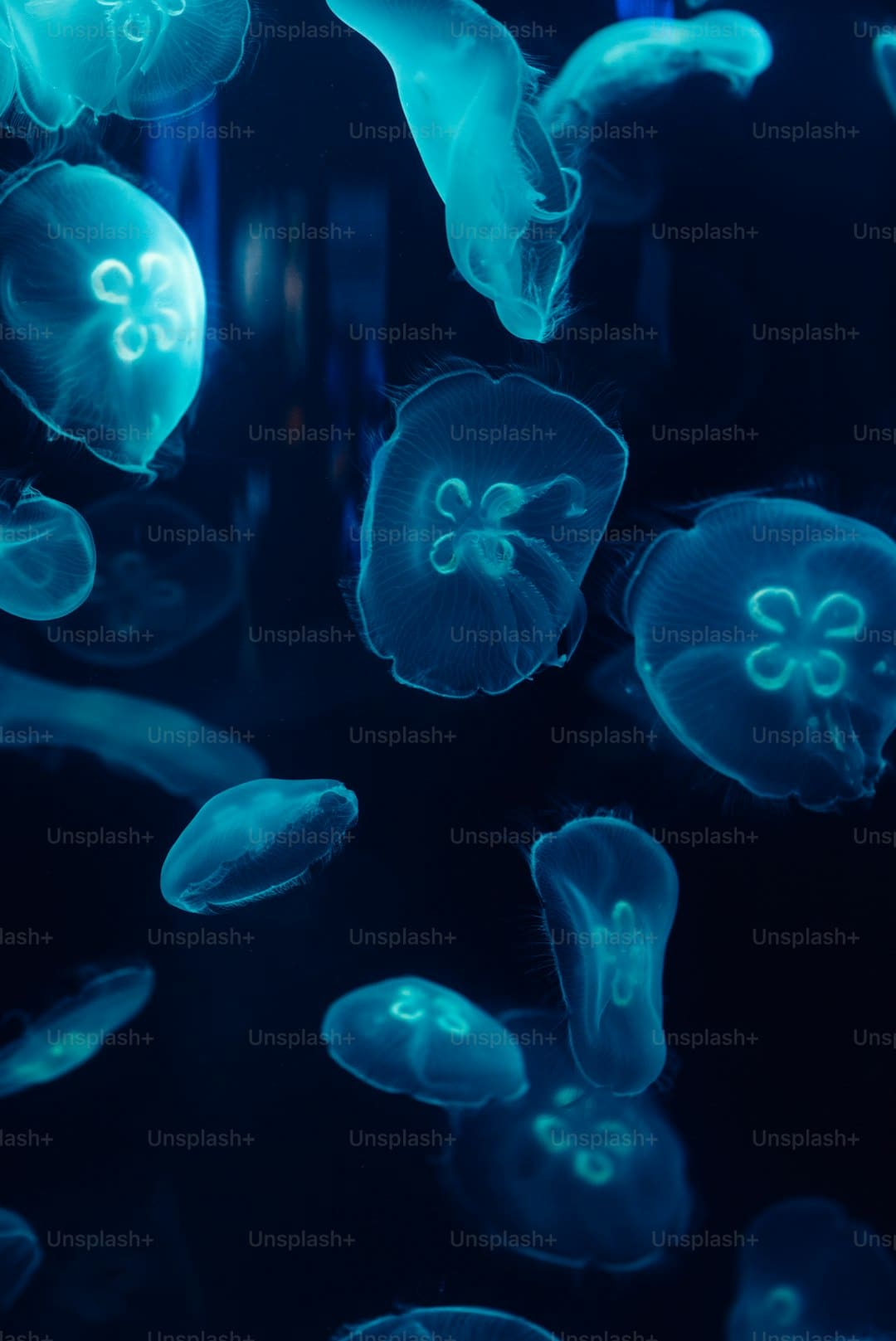 山海星斗口碑热度双丰收!《傩戏》非遗美学引热议,《白月光》7000万亲情叙事获好评!